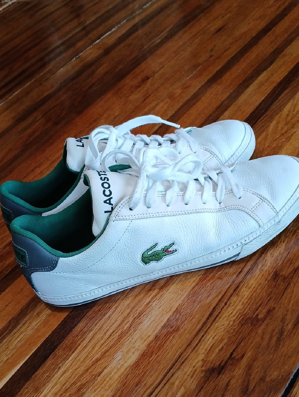 Lacoste Graduate Sneakers with Green Croc Accent - 9